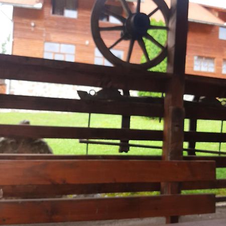 Pensiunea Codru Sălciua de Jos Exterior foto