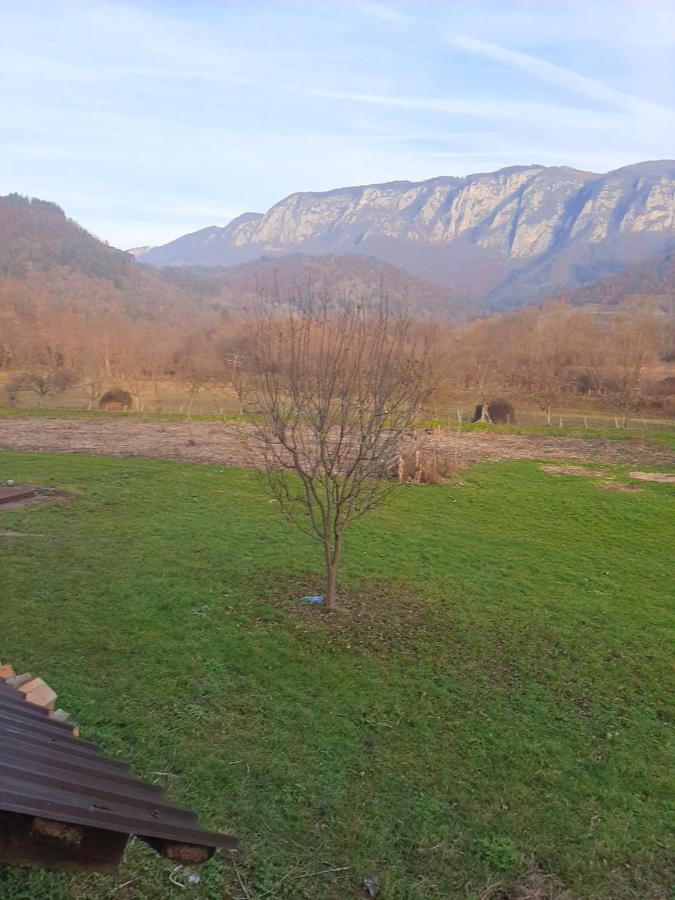 Pensiunea Codru Sălciua de Jos Exterior foto