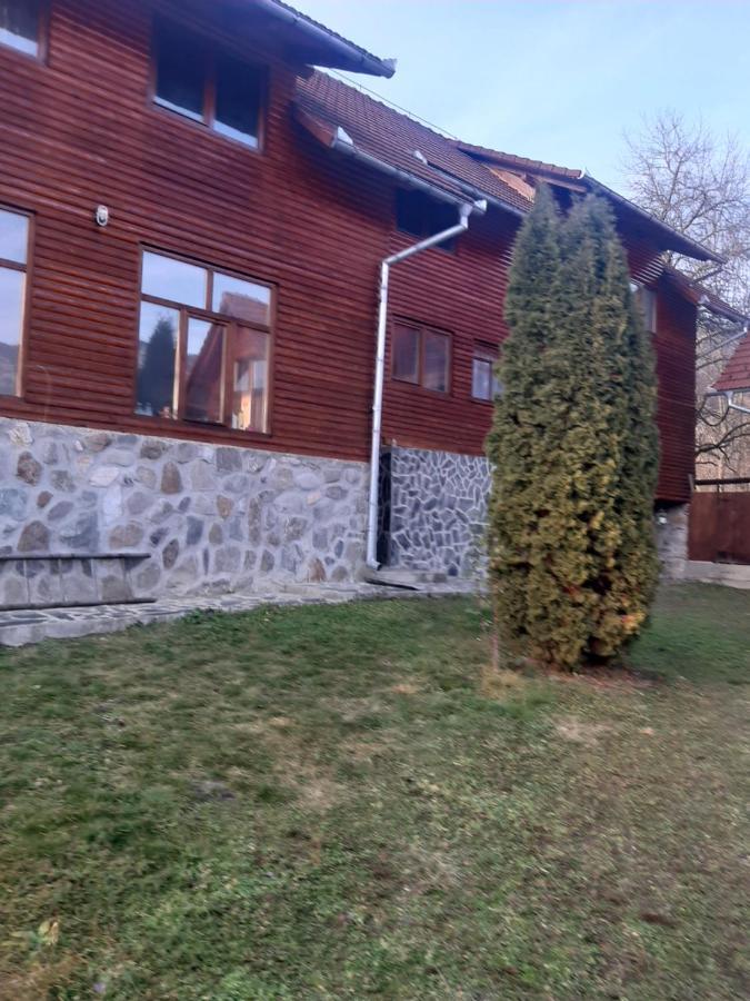 Pensiunea Codru Sălciua de Jos Exterior foto