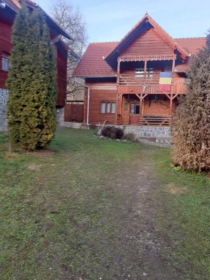 Pensiunea Codru Sălciua de Jos Exterior foto