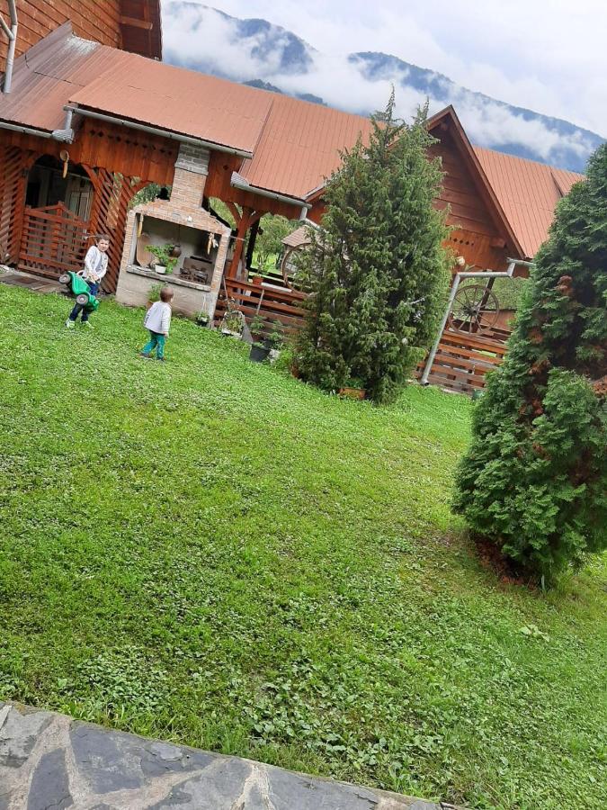 Pensiunea Codru Sălciua de Jos Exterior foto